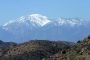 13JoshuaTree - 64